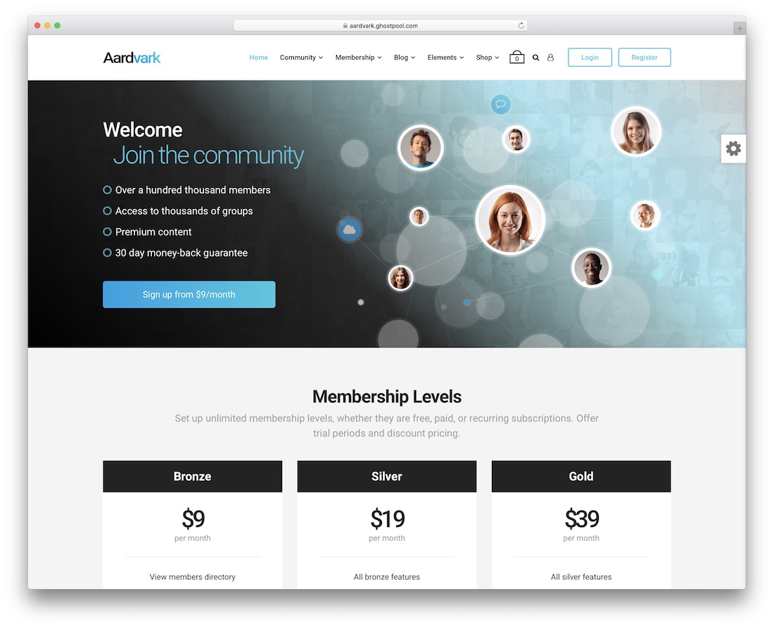 aardvark soru cevap wordpress teması.