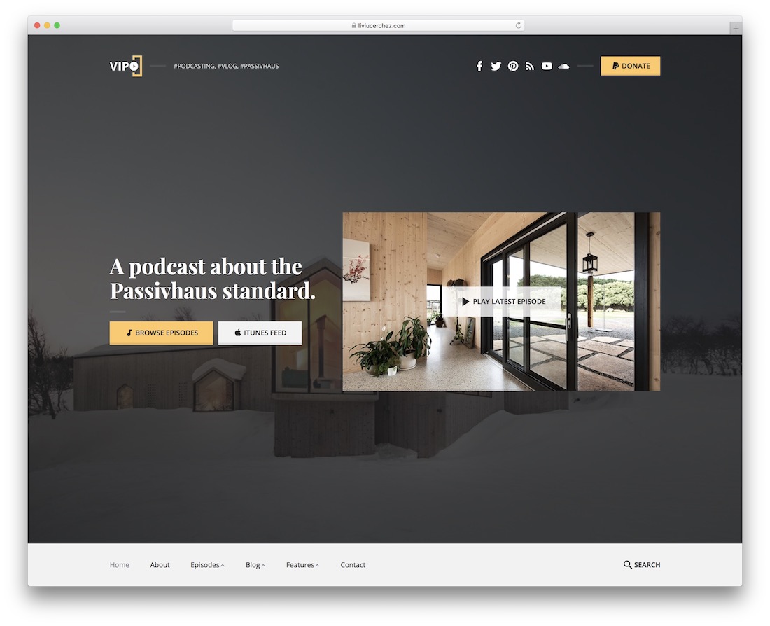 thème vipo wordpress