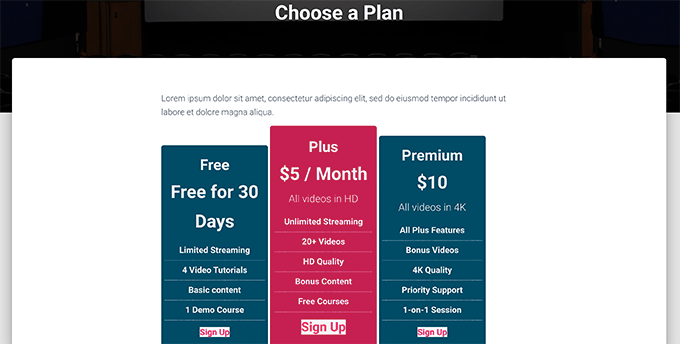 価格設定ページの例 Pricing page example