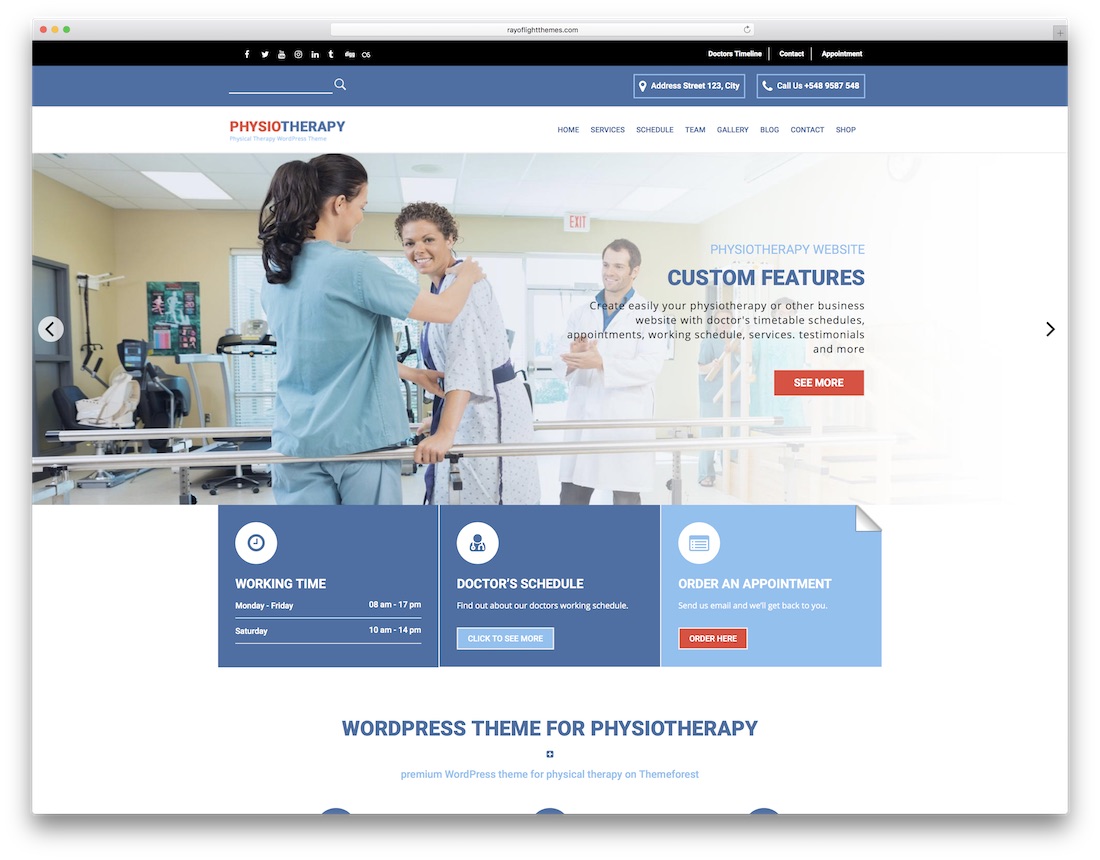 duyarlı fizyoterapi chiropractor wordpress teması.