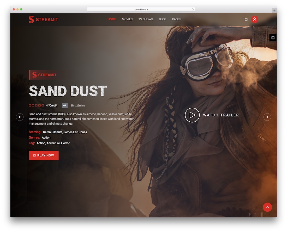 tema de vídeo streamit wordpress