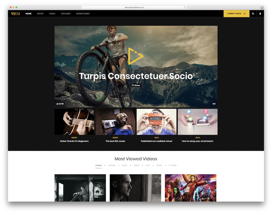 tema de vídeo viem wordpress