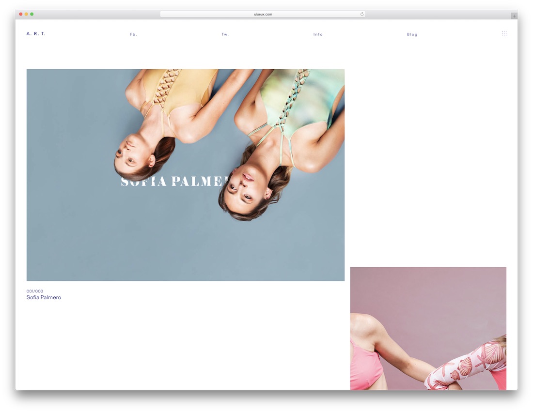 tema wordpress di fotografia d'arte