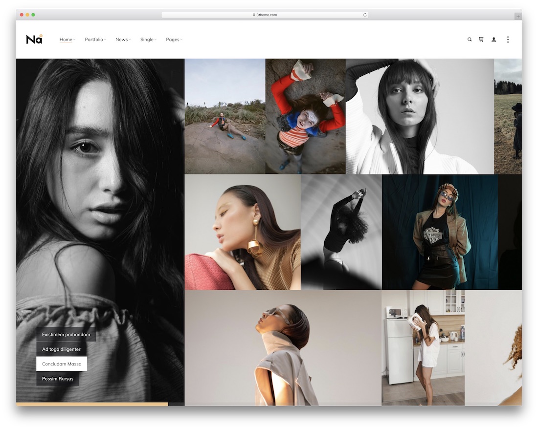 thena fotografia tema wordpress