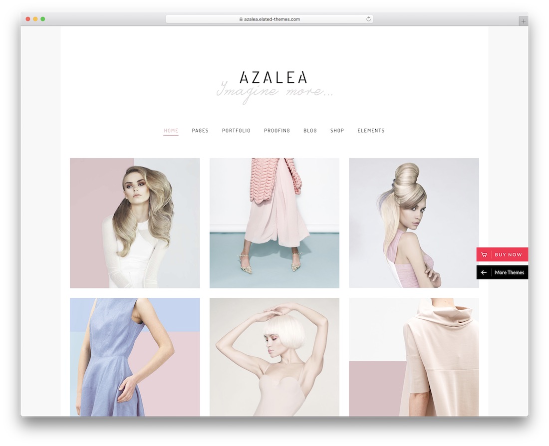 tema wordpress di fotografia azalea
