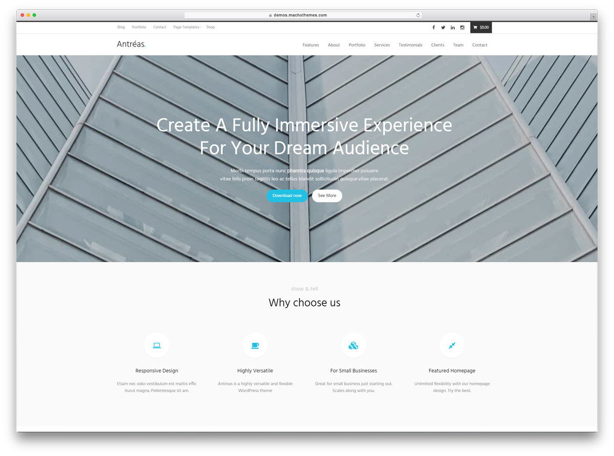 Thèmes WordPress d'amorçage