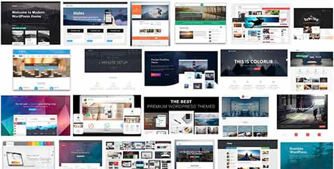 ธีมเวิร์ดเพรส WordPress Theme Stats