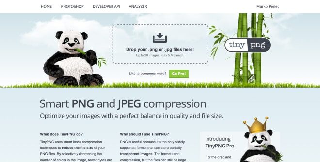 TinyPNG - alat kompresi gambar online