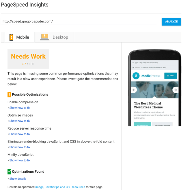 Hasil Wawasan PageSpeed Seluler