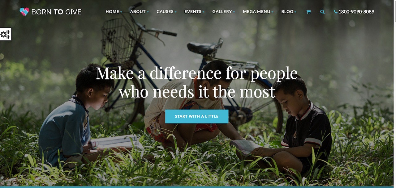 născut-pentru-a-dărui-caritate-crowdfunding-responsive-temă-wordpress-CL