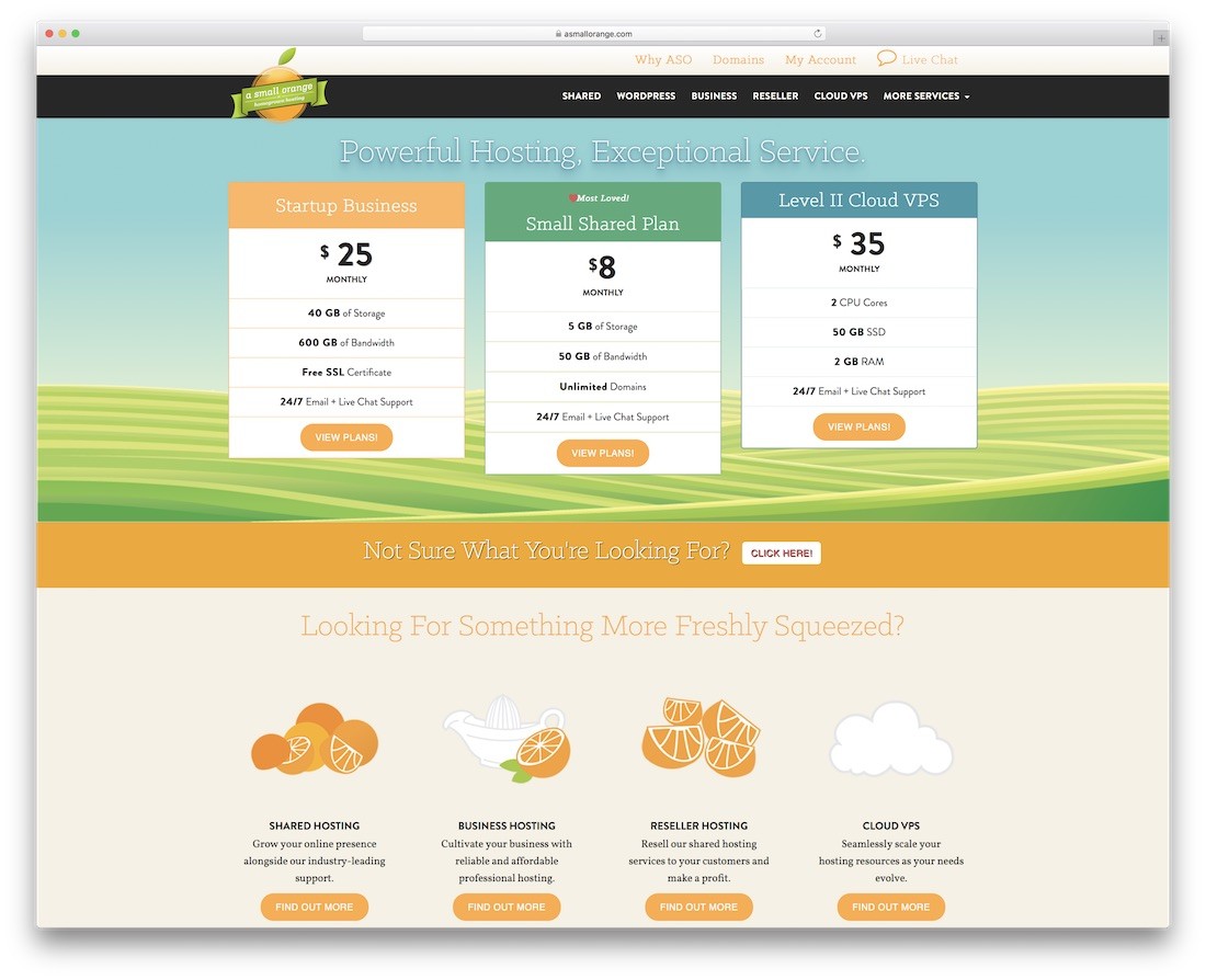 un mic web hosting portocaliu pentru site-ul web personal