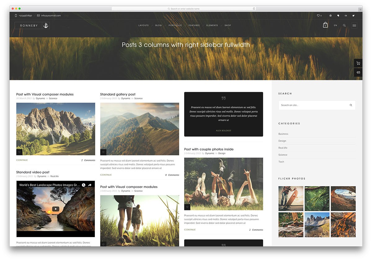 ronneby-creative-corporate-temă-blog