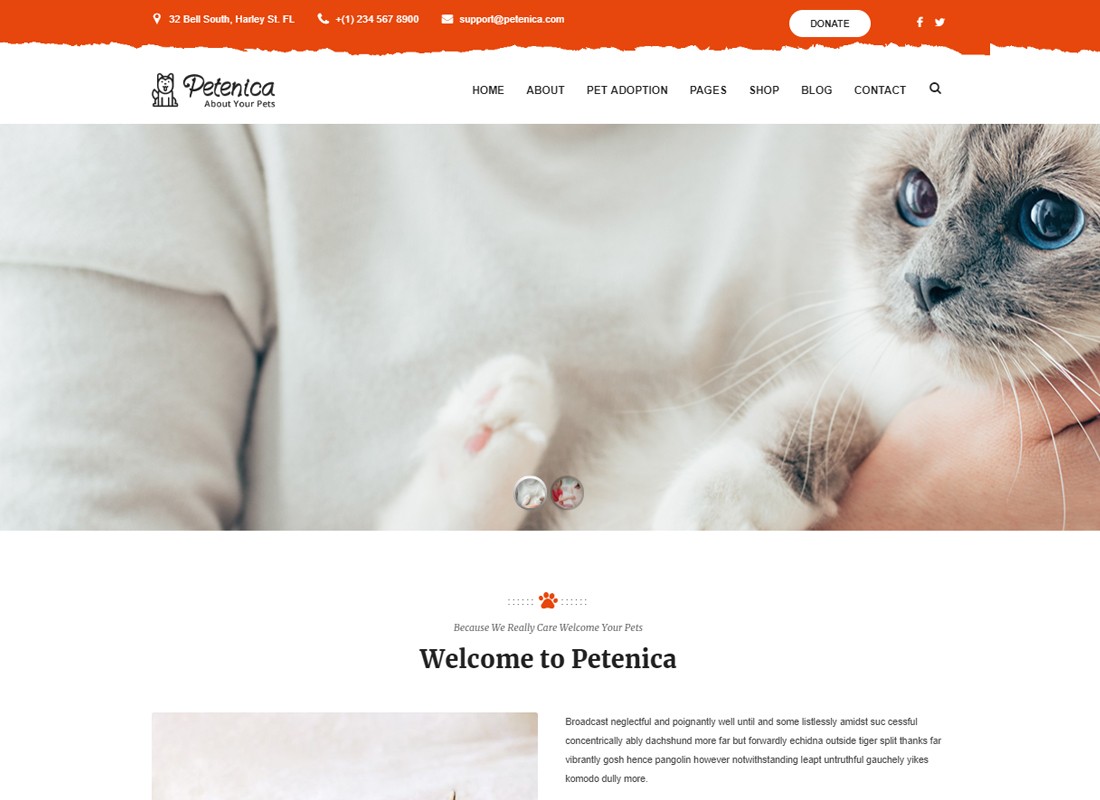 Petenica: Pengasuh Hewan Peliharaan dan Tema WordPress Adopsi