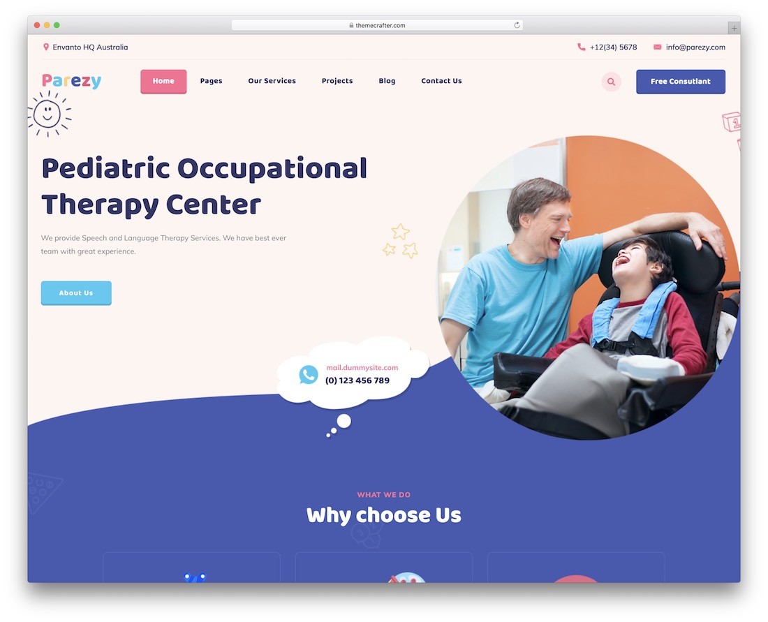 麻痹儿童 wordpress 主题