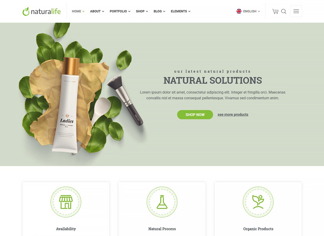 NaturaLife - 健康与有机 WordPress 主题