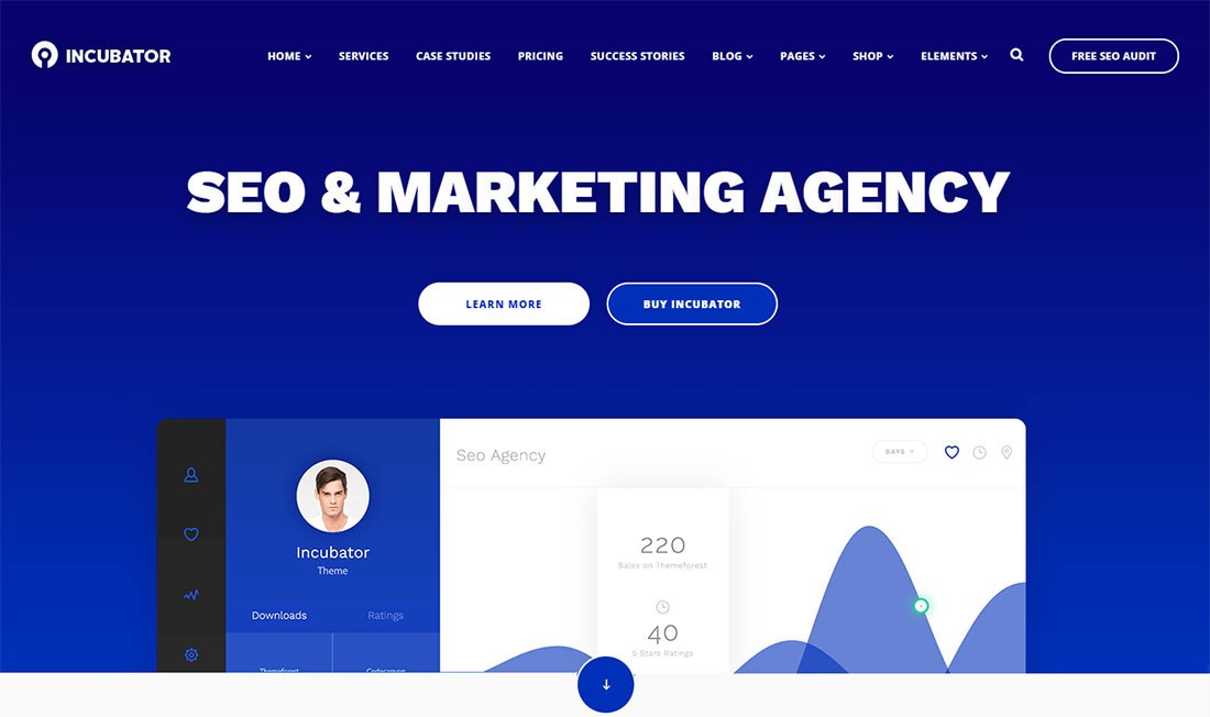 인큐베이터 다목적 WordPress 웹 사이트 디자인