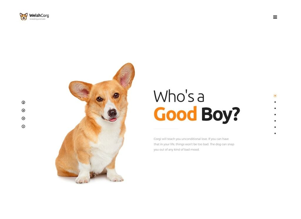 Corgi galés | Tema de WordPress para cría y venta de perros