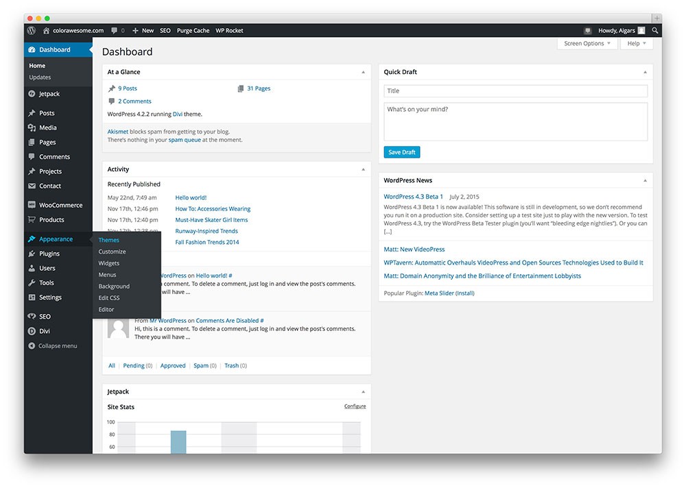 安装新的 wordpress 主题