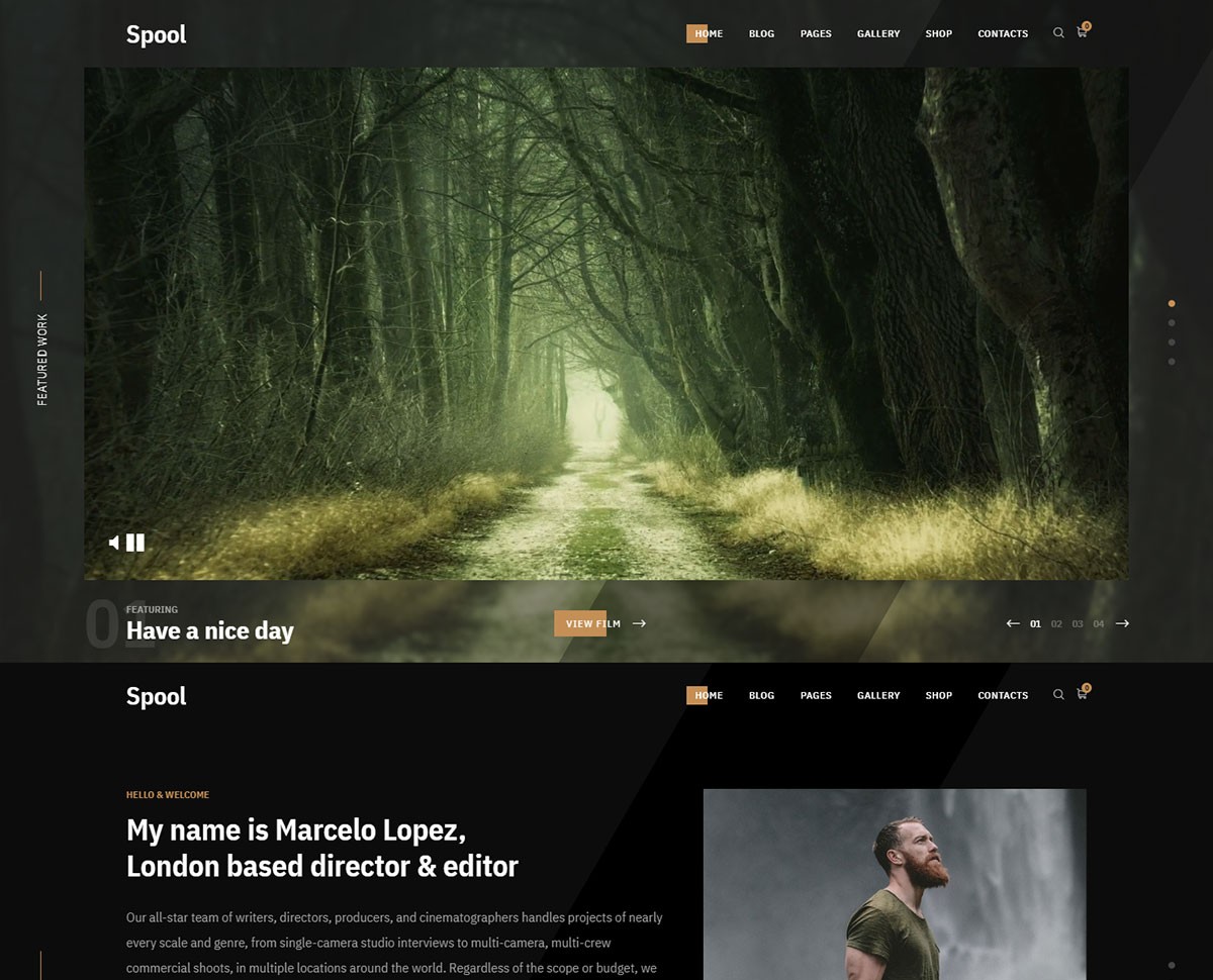 thème wordpress films