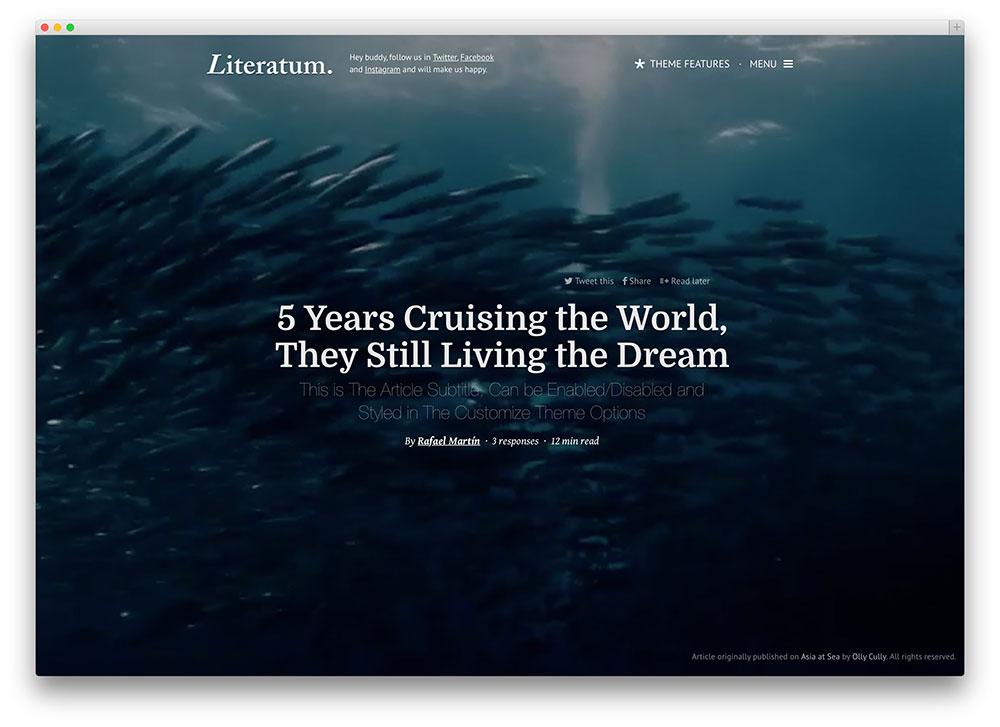literatum-frumos-blog-temă