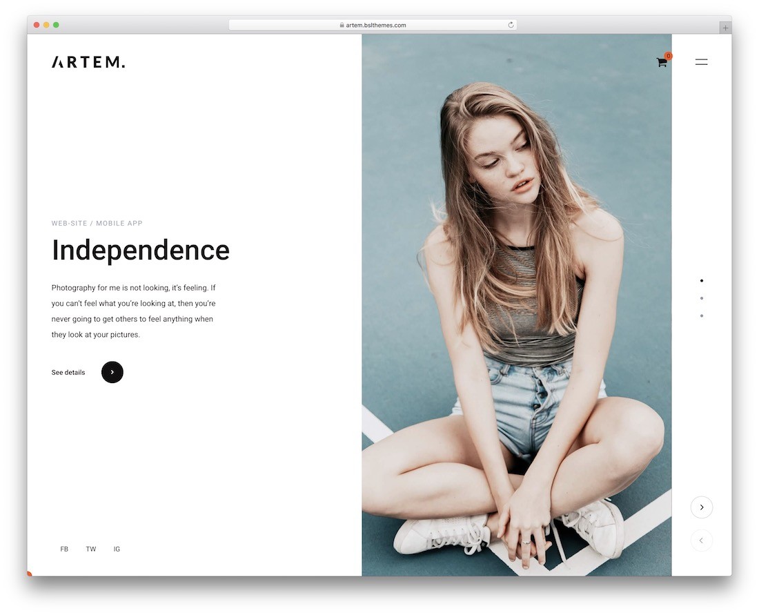 temă wordpress artem simplă