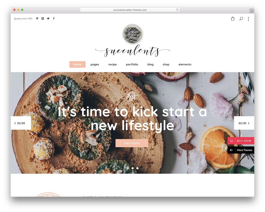 tema wordpress stile di vita succulente