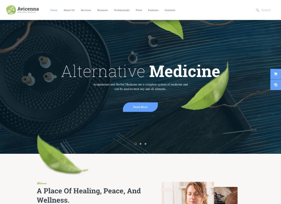 아비세나 | 대체 의학 WordPress 테마