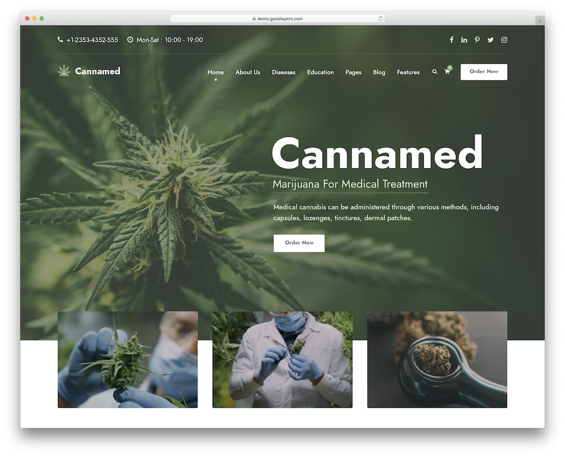 cannamed 대체 의학 워드 프레스 테마