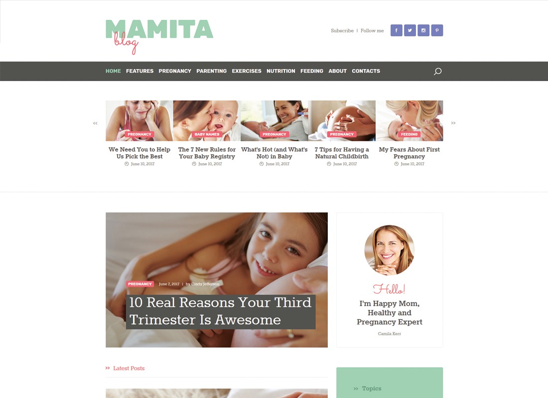 มามิตะ | บล็อกการตั้งครรภ์และการคลอดบุตร WordPress Theme