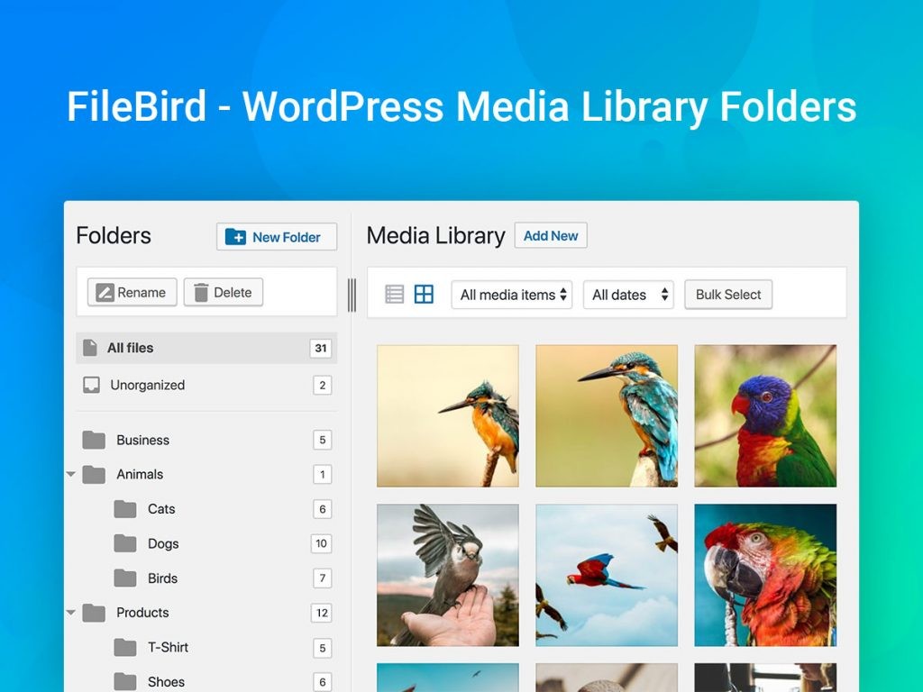 مجلد مكتبة وسائط WordPress