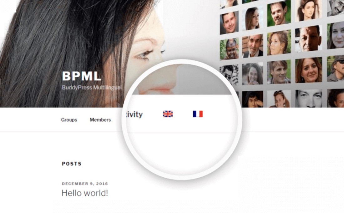 buddypress 多語言 wordpress 插件