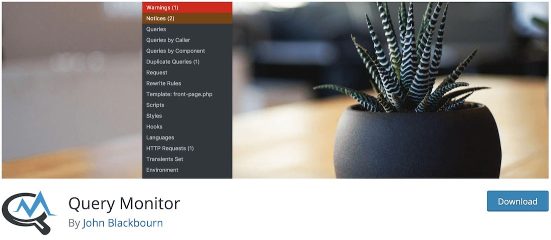 sorgu monitör wordpress eklentisi