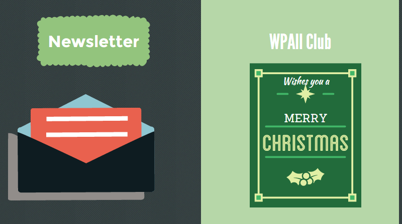 Come vendere temi e plugin per WordPress: 12 suggerimenti attuabili newsletter