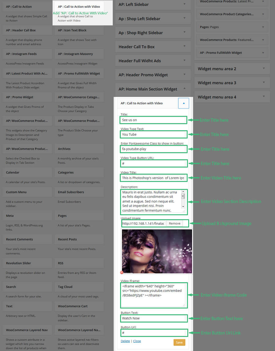 AccessPress Store Pro: tema WooCommerce WP perfetto calltoactionvideo-settings