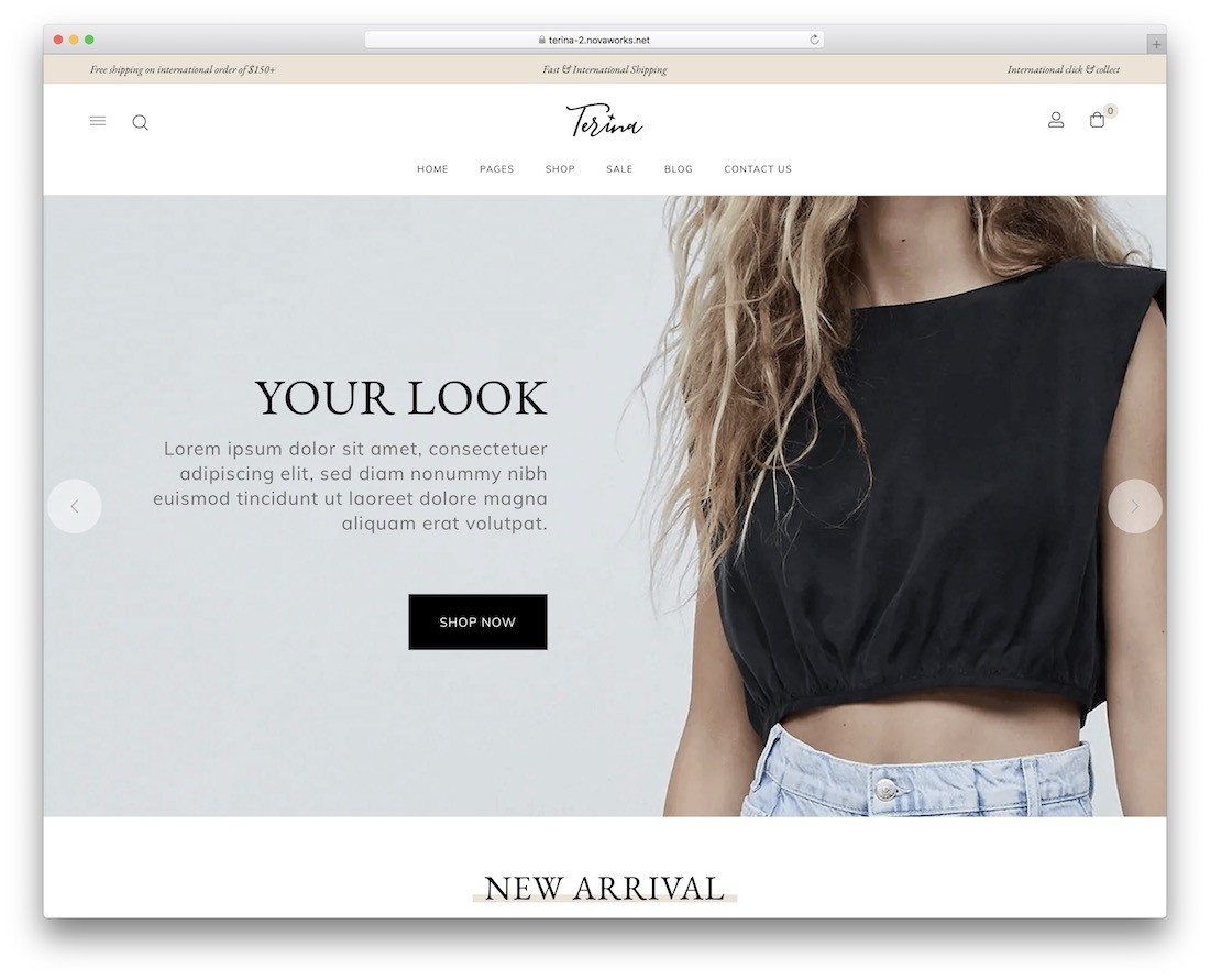 tema wordpress design piatto terina