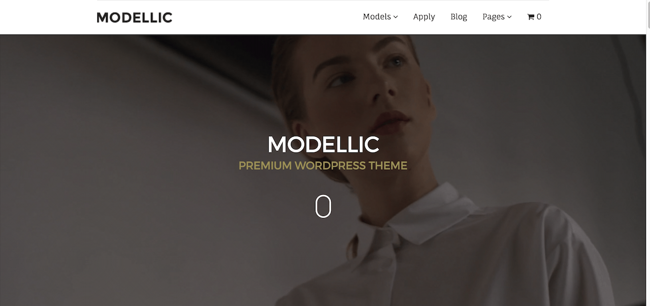Tema modellistico