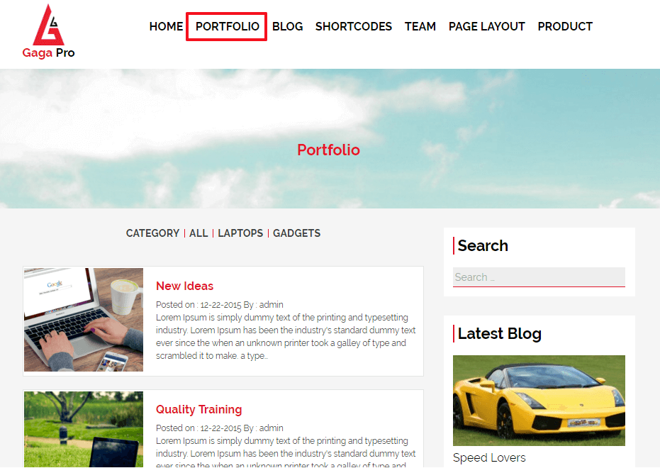 Tutto quello che devi sapere su WordPress Multisite portfolio-layout-gaga-pro