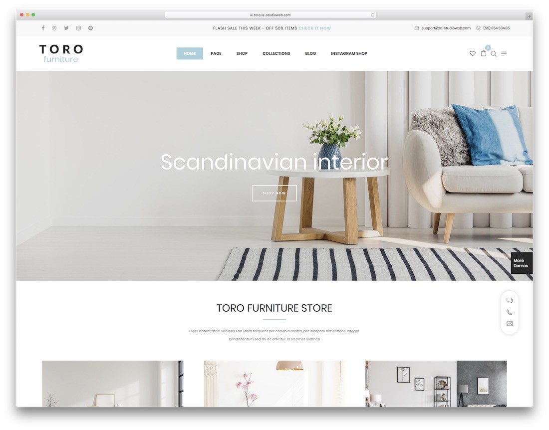 Toro-Möbel WordPress-Theme