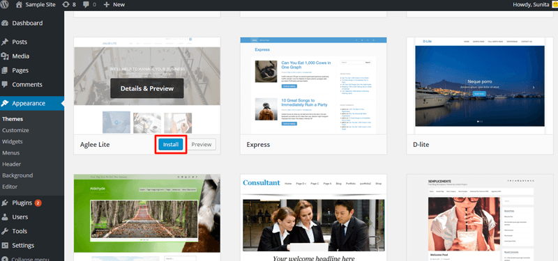 Una guida completa a WordPress per principianti install-theme