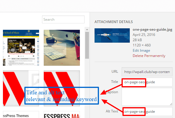 Panduan SEO On-Page - Cara Mengoptimalkan Blog WordPress Anda multimedia