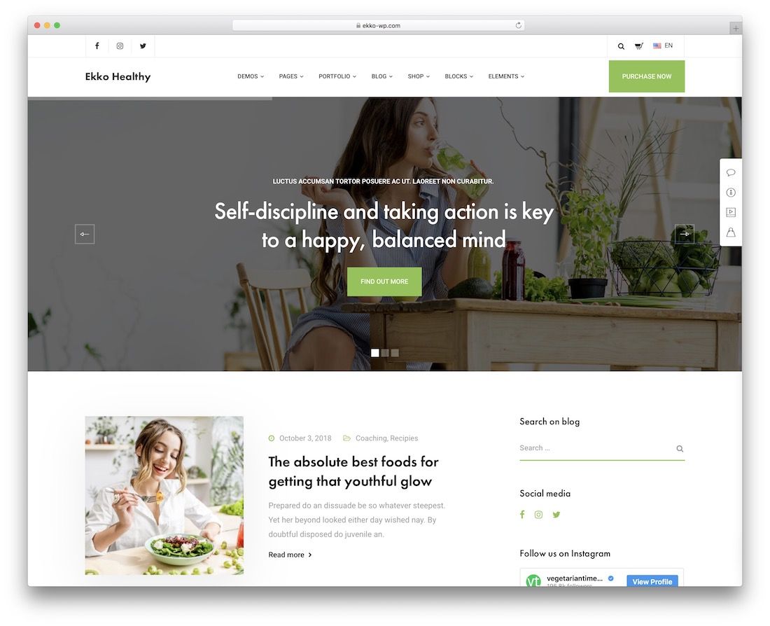 temă pentru blogul alimentar ekko wordpress