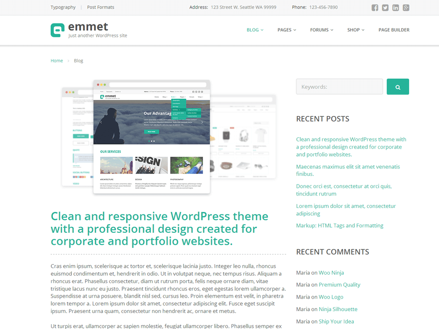 15+ najlepszych darmowych motywów portfolio WordPress 2022 emmet-lite