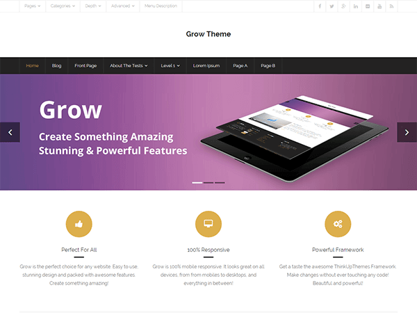 15+ najlepszych darmowych motywów portfolio WordPress 2022 grow