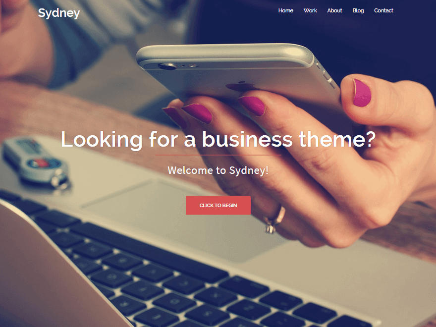 15+ najlepszych darmowych motywów portfolio WordPress 2022 sydney