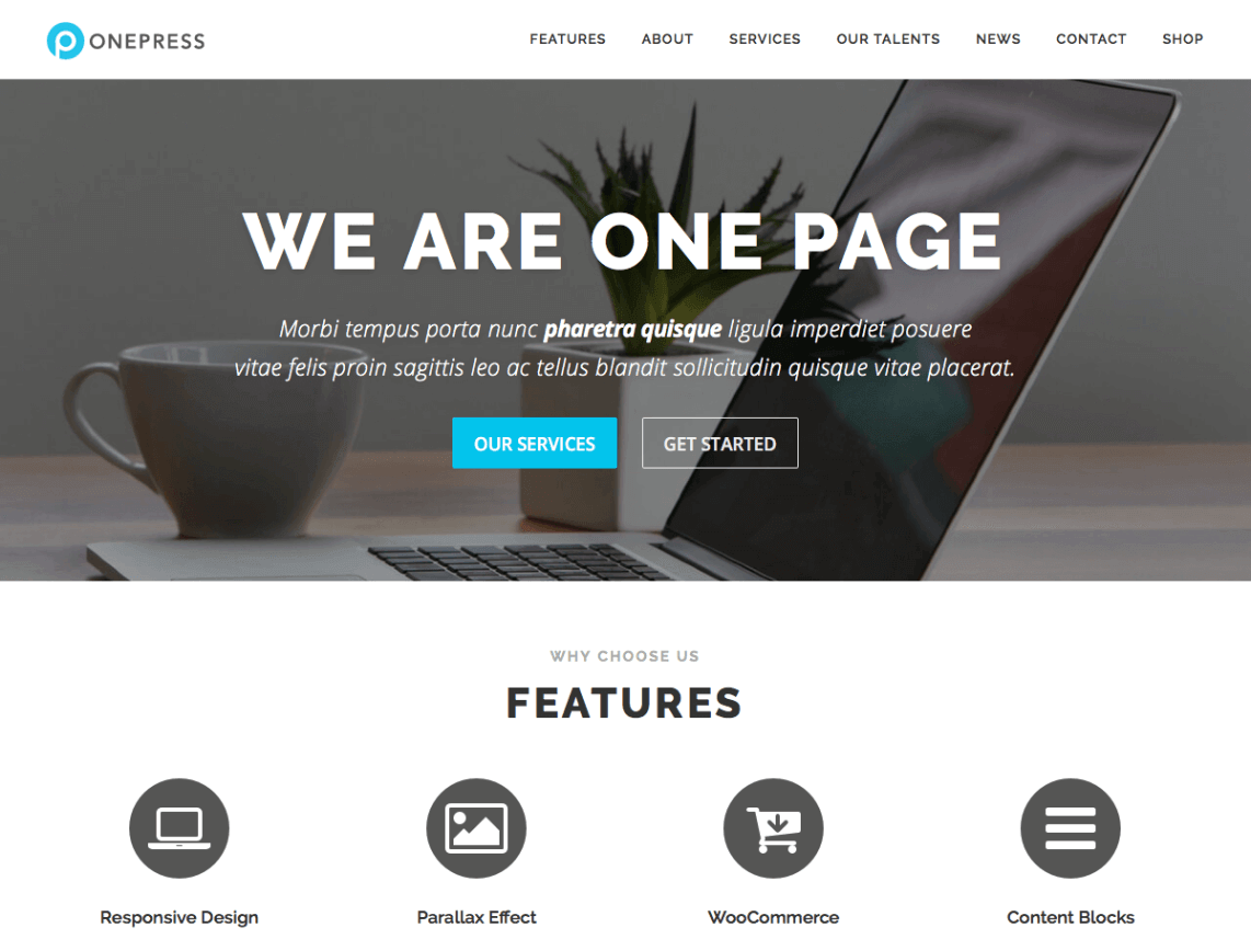 15+ najlepszych darmowych motywów portfolio WordPress 2022 OnePress