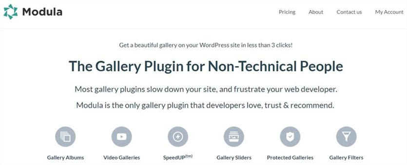 Plugin per immagini Modula di WordPress