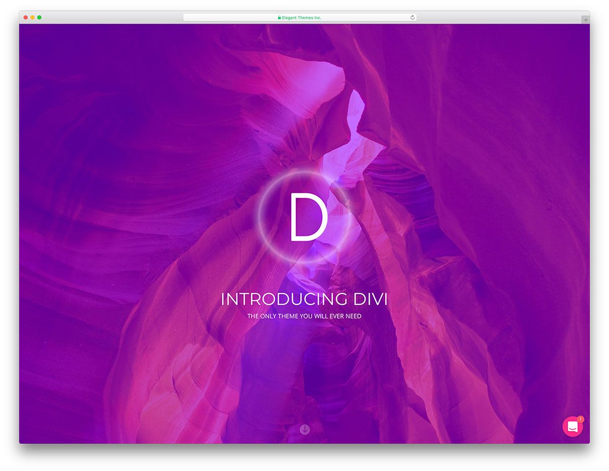 Divi - 最快的商業 WordPress 主題