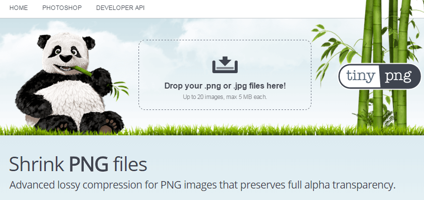 Come velocizzare il tuo sito WordPress - Suggerimenti per l'ottimizzazione TinyPNG