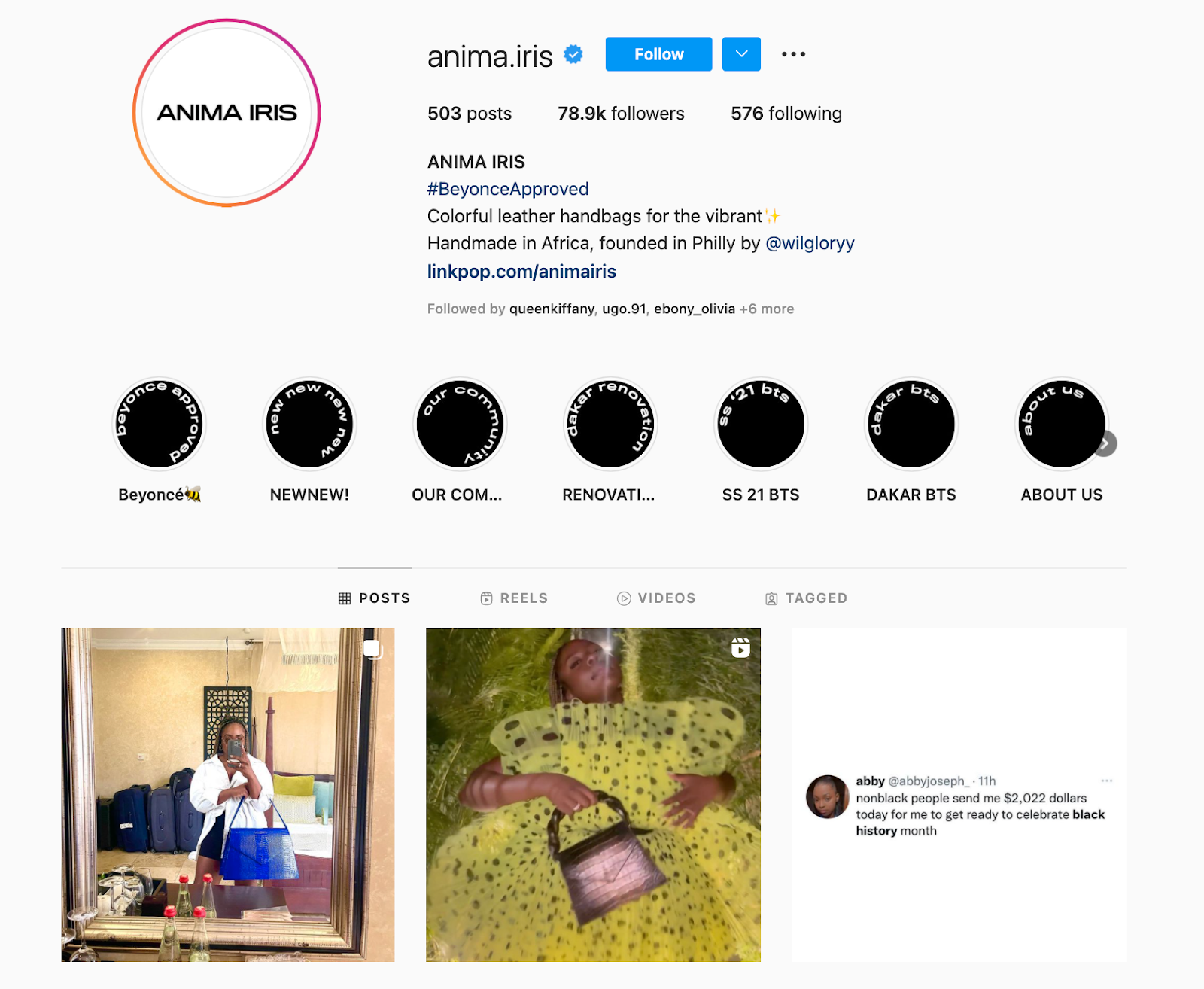 Meilleures marques sur Instagram : Anima Iris
