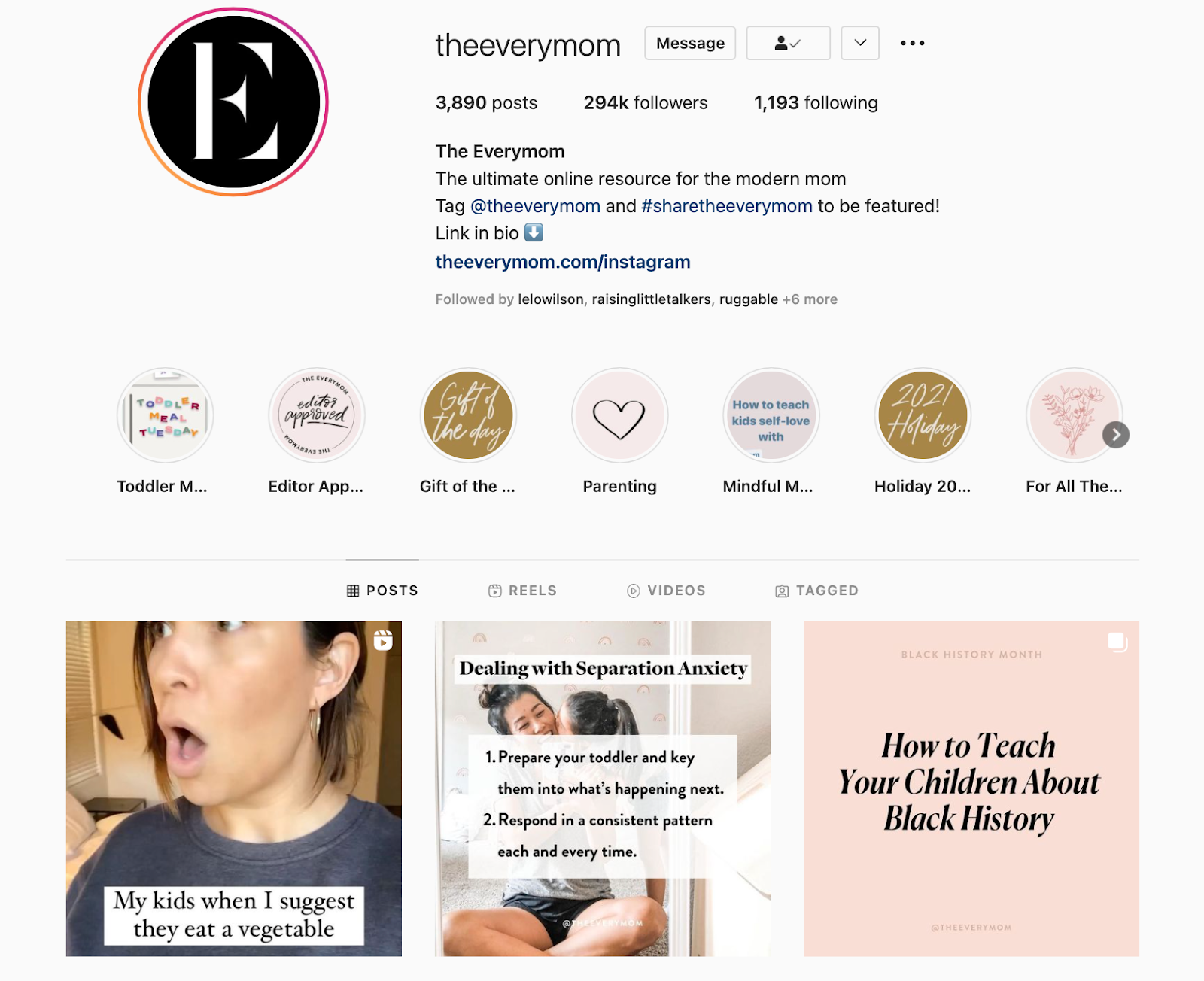 Meilleures marques sur Instagram : The Every Mom